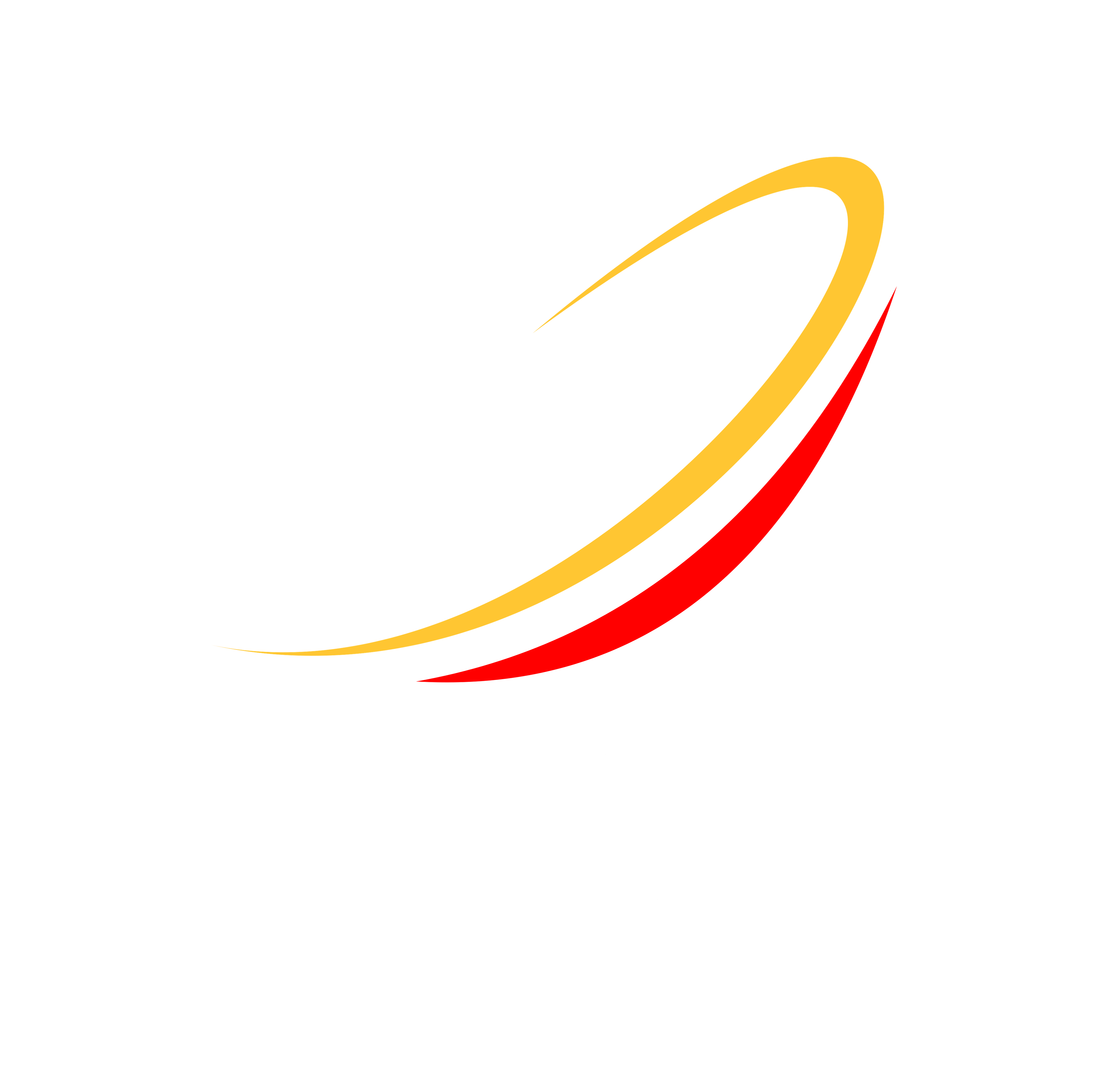DGS Logo